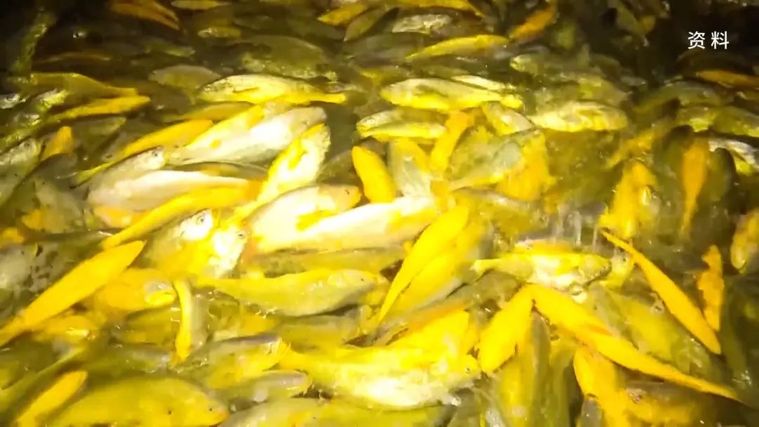 竞彩网